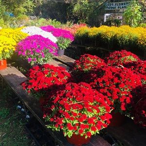 Meet your Posher, Sha